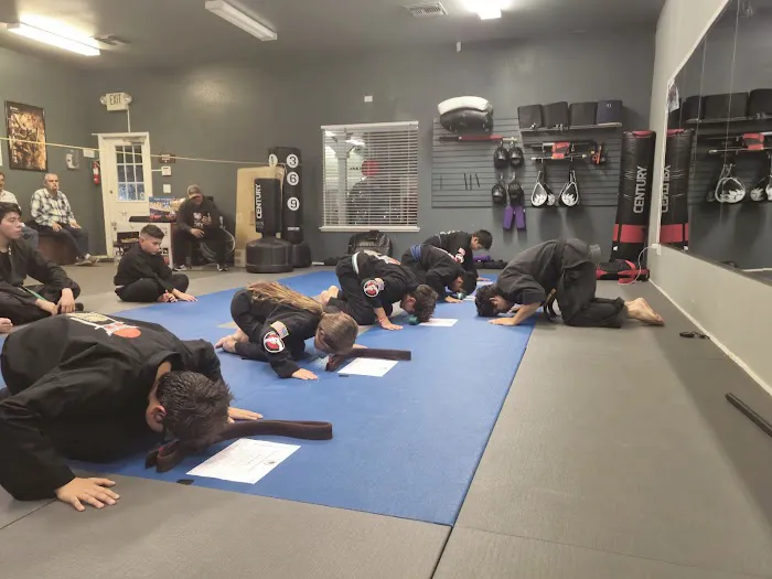 Kerman Martial Arts Picture 4