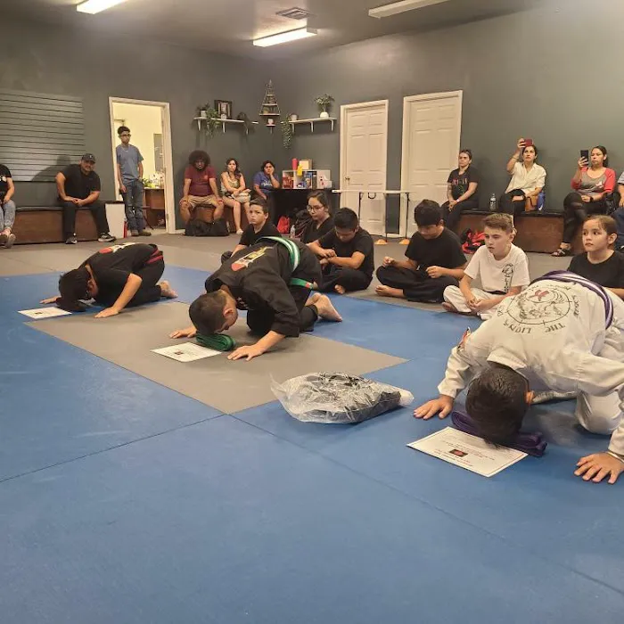 Kerman Martial Arts Picture 1