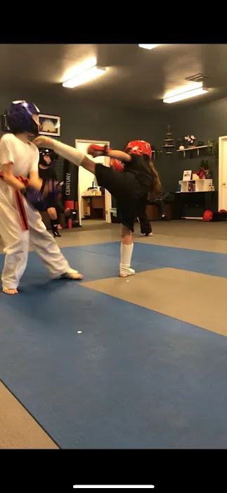 Kerman Martial Arts Picture 6