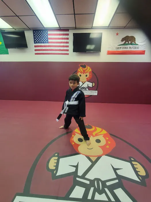 Luchadors Para Los Ninos an Official Affiliate School of Pacific Martial Arts BJJ Fresno Picture 6