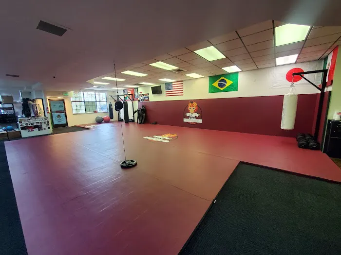 Luchadors Para Los Ninos an Official Affiliate School of Pacific Martial Arts BJJ Fresno Picture 4