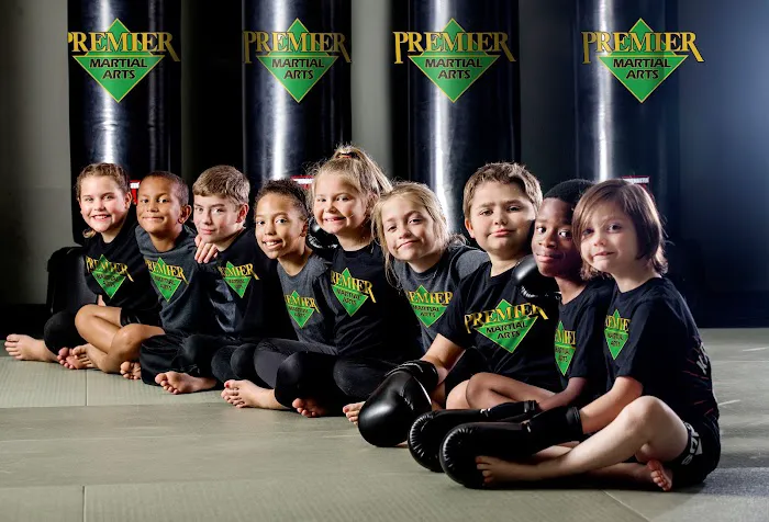 Premier Martial Arts West Loop Picture 3
