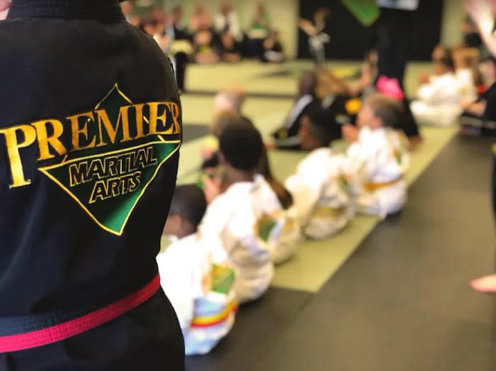 Premier Martial Arts West Loop Picture 7