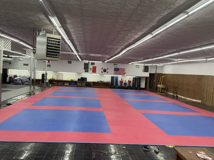 Velasquez Tae Kwon Do Academy Picture 3