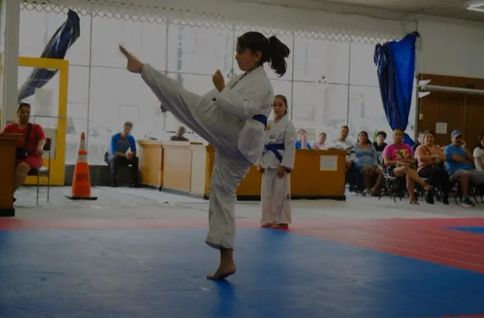 Velasquez Tae Kwon Do Academy Picture 2