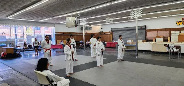 Velasquez Tae Kwon Do Academy Picture 8