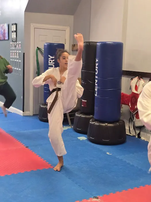 Attack Taekwondo Ukrainian Village Picture 5