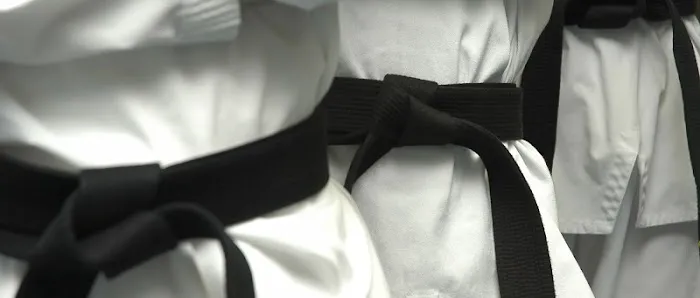 Attack Taekwondo Ukrainian Village Picture 4