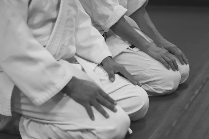Third Coast Aikido Picture 7