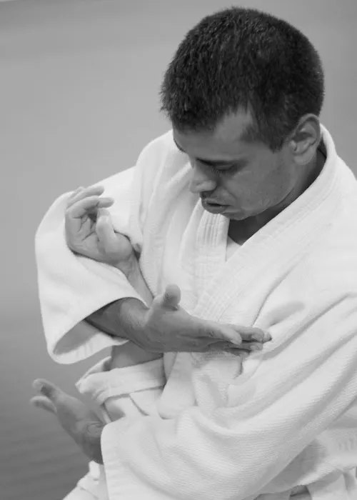 Third Coast Aikido Picture 1
