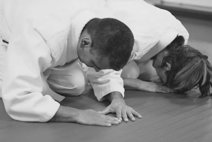 Third Coast Aikido Picture 8