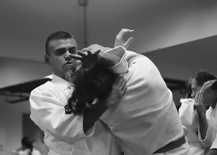 Third Coast Aikido Picture 9