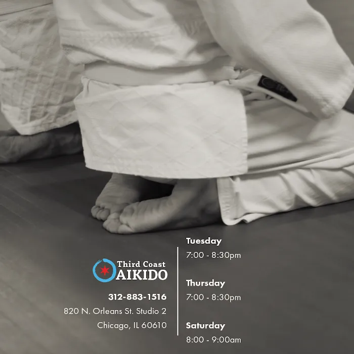 Third Coast Aikido Picture 10