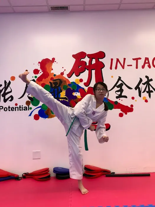 IN-TAO Taekwondo Picture 5
