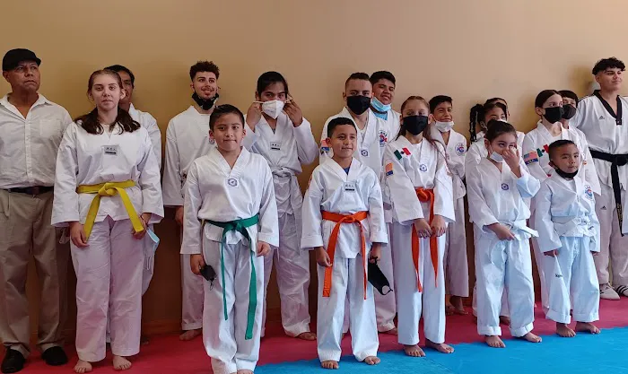 Lions Taekwondo and Kung-Fu Picture 4