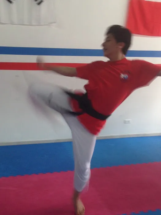 Lions Taekwondo and Kung-Fu Picture 6