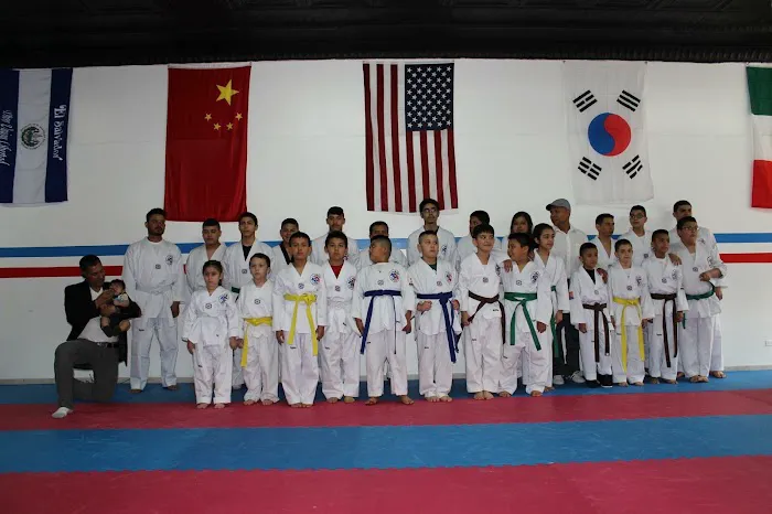 Lions Taekwondo and Kung-Fu Picture 8
