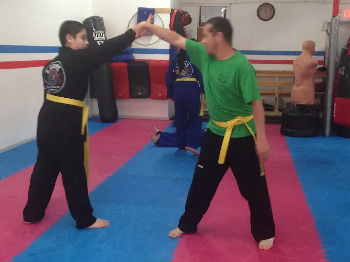 Lions Taekwondo and Kung-Fu Picture 9