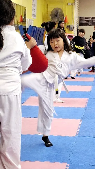 Golden Tigers Taekwondo Inc. Picture 10