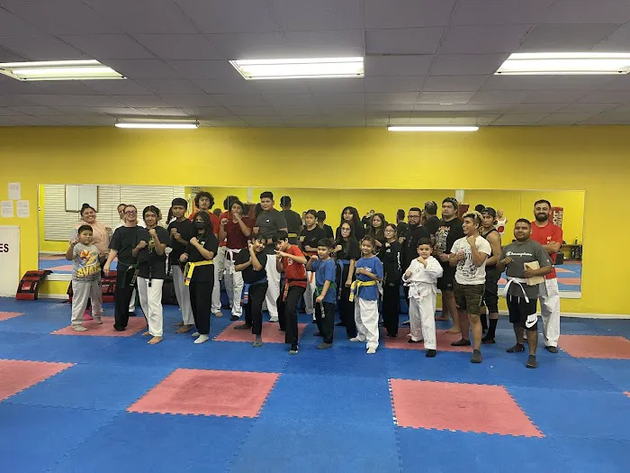 Golden Tigers Taekwondo Inc. Picture 9