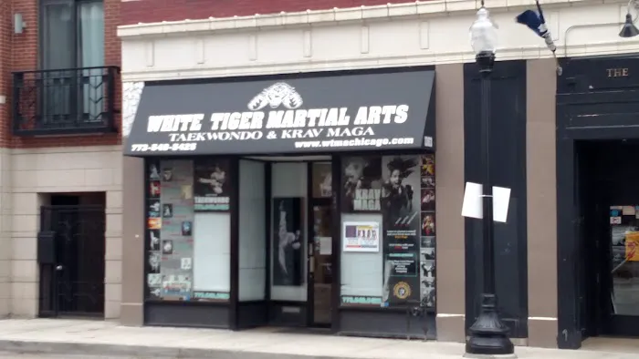 White Tiger Martial Arts Chicago Picture 2