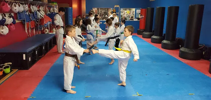 White Tiger Martial Arts Chicago Picture 7