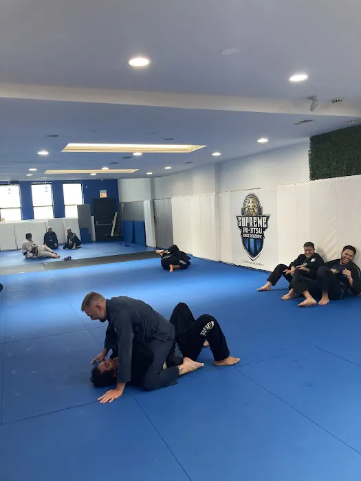 Supreme JIU JITSU Chicago Idriz Redzovic Picture 6