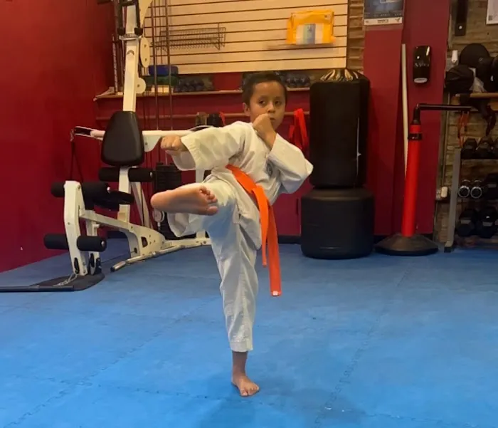 Ultimate Kicks Tae Kwon Do Picture 6