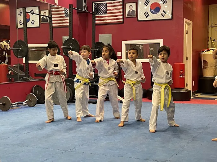 Ultimate Kicks Tae Kwon Do Picture 9