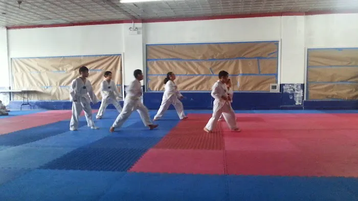 Fire Dragons TaeKwonDo Picture 2