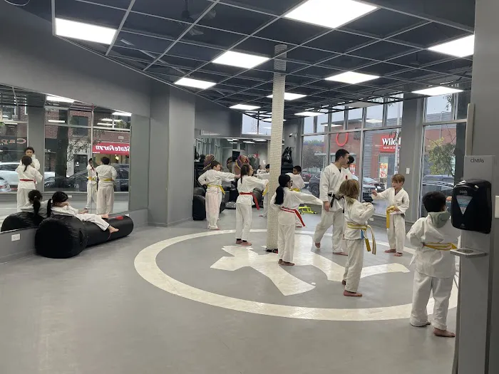 Fonseca Martial Arts - Roscoe Village Picture 1