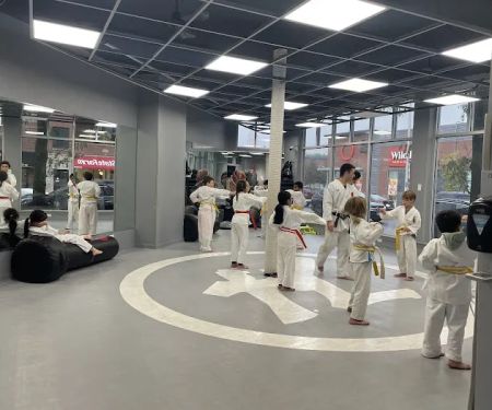 Fonseca Martial Arts - Roscoe Village