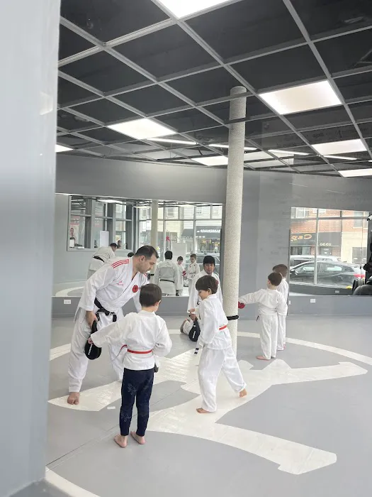 Fonseca Martial Arts - Roscoe Village Picture 2