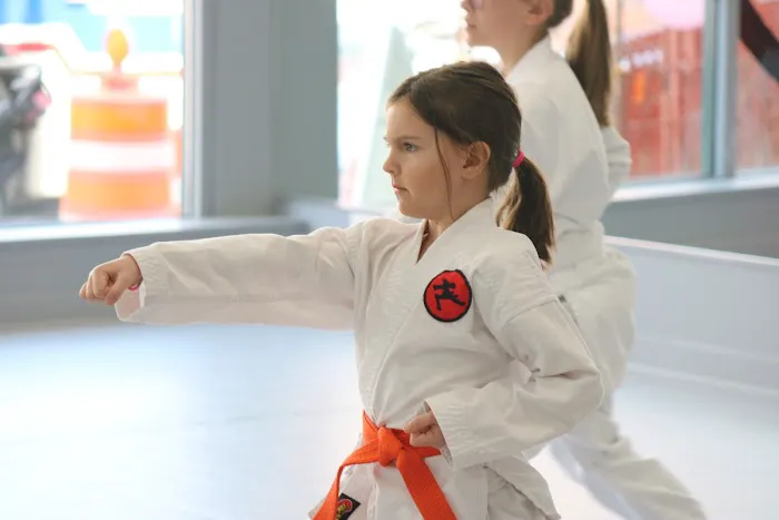 Fonseca Martial Arts - Roscoe Village Picture 3