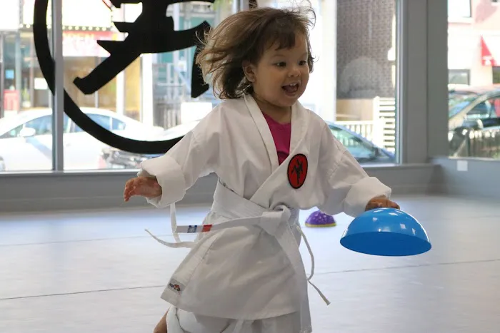 Fonseca Martial Arts - Roscoe Village Picture 6