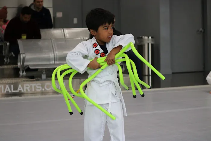 Fonseca Martial Arts - Roscoe Village Picture 10