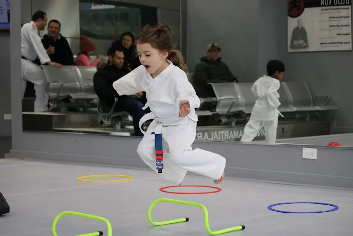 Fonseca Martial Arts - Roscoe Village Picture 9