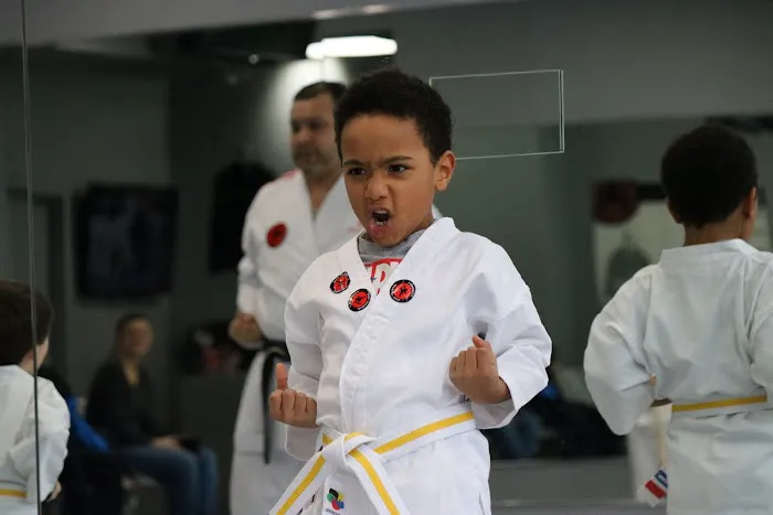 Fonseca Martial Arts - Roscoe Village Picture 7