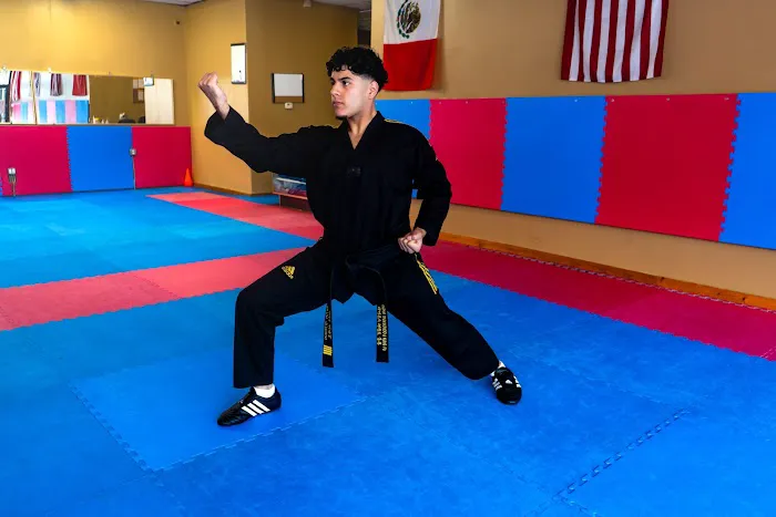 Serrato Martial Arts Picture 2