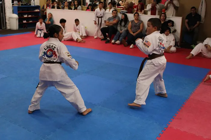 Serrato Martial Arts Picture 4