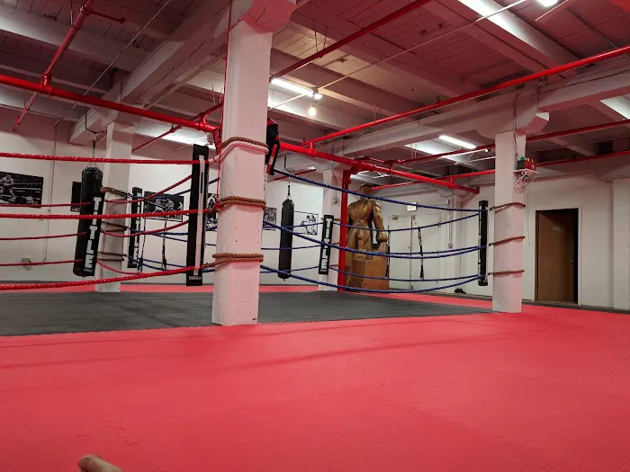 Bravo Martial Arts Picture 4