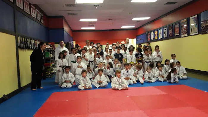 Flying V Martial Arts Picture 1