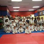 Flying V Martial Arts