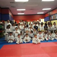 Flying V Martial Arts ico