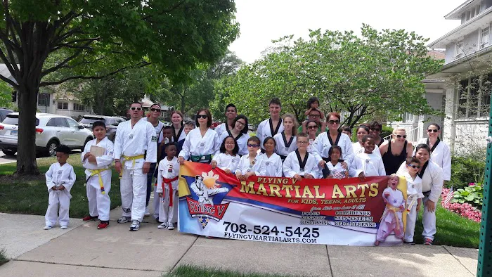Flying V Martial Arts Picture 2