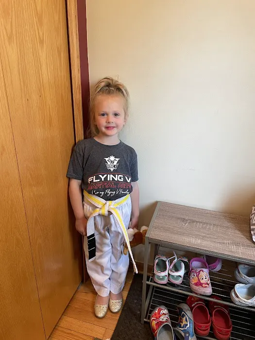 Flying V Martial Arts Picture 5