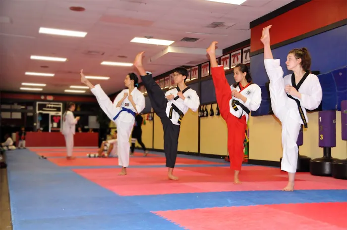 Flying V Martial Arts Picture 8