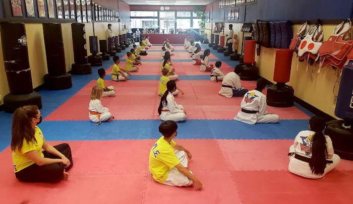 Flying V Martial Arts Picture 6