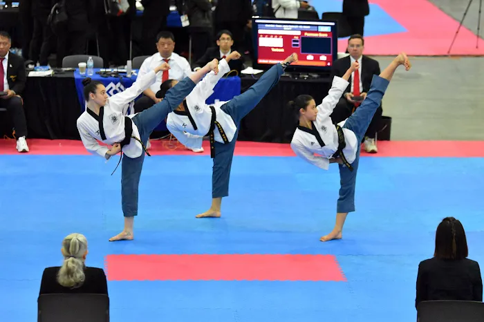 Flying V Martial Arts Picture 10