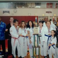 Yong In Martial Arts ico